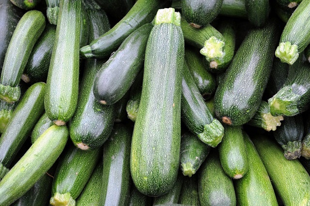 zucchini Green